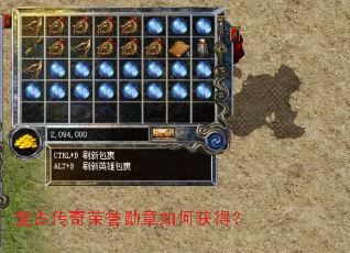 ���Ŵ�������ѫ����λ�ã�
