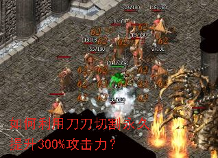 ������õ����и���������300%��������