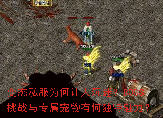 ��̬˽��Ϊ�����˳��ԣ�BOSS��ս��ר�������кζ���������