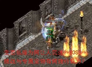��̬˽��Ϊ�����˳��ԣ�BOSS��ս��ר�������кζ���������