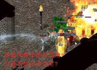 ��Ѫ������͸�ӽ�ָ�����к��������ã�