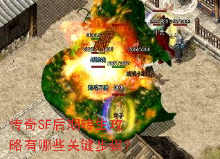 ����SF����ת����������Щ�ؼ����裿