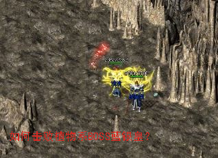 ��λ���ֲ��ϵBOSS�����ʣ�