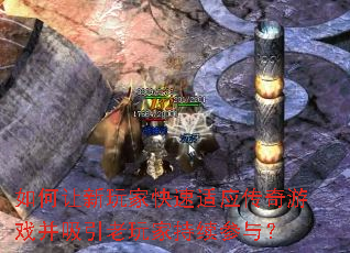 ���������ҿ�����Ӧ������Ϸ����������ҳ������룿