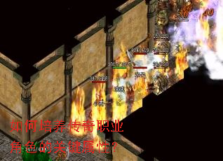 �����������ְҵ��ɫ�Ĺؼ����ԣ�