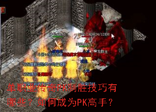 ��ְҵ����PK��ʤ��������Щ����γ�ΪPK���֣�