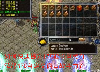 ��ο�������178M2���洫��˽��NPC�Զ��崰��ս������