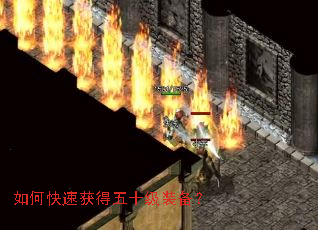 ��ο��ٻ����ʮ��װ����