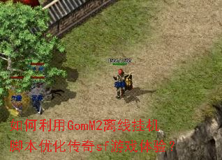�������GomM2���߹һ��ű��Ż�����sf��Ϸ���飿