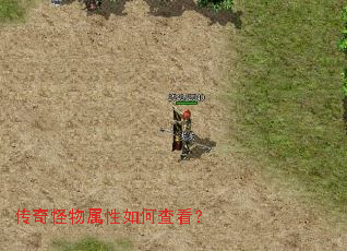 �������������β鿴��