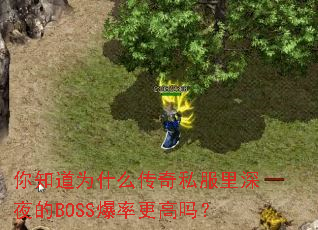 ��֪��Ϊʲô����˽������ҹ��BOSS���ʸ�����