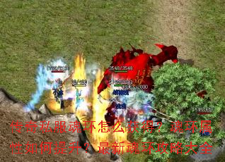 ����˽���껷��ô��ã��껷����������������»껷���Դ�ȫ