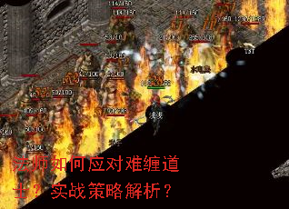 ��ʦ���Ӧ���Ѳ���ʿ��ʵս���Խ�����