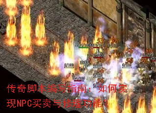 ����ű���дָ�ϣ����ʵ��NPC�������������ܣ�