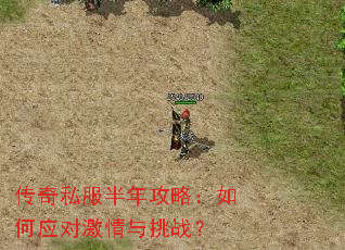 ����˽�����깥�ԣ����Ӧ�Լ�������ս��