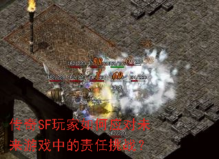 ����SF������Ӧ��δ����Ϸ�е�������ս��