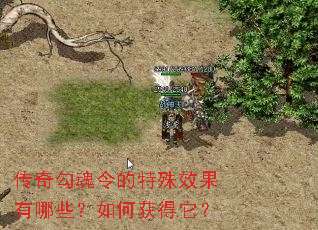 ���湴���������Ч������Щ����λ������