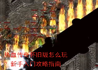 ��Ѫ���滳�ɰ���ô�棿�������Ź���ָ��