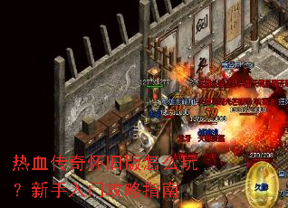 ��Ѫ���滳�ɰ���ô�棿�������Ź���ָ��