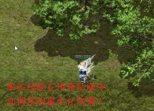 ���뼼���ڴ���˽�������ʵ������˺���