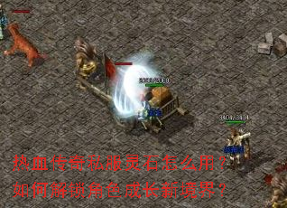 ��Ѫ����˽����ʯ��ô�ã���ν�����ɫ�ɳ��¾��磿