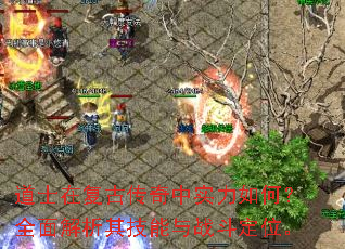 ��ʿ�ڸ��Ŵ�����ʵ����Σ�ȫ������似����ս����λ��