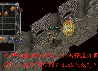 ����˽����ѩ���磺��ѩ��Ե��ο���������װ����λ�ȡ��BOSS��ô��