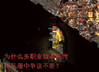 Ϊʲô��ְҵ�汾�ڴ���˽�������鲻�ϣ�
