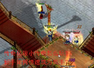 ����˽��С������ô�棿������ο��ٳ�Ϊ���֣�