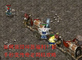 �����ȡ����������������䴫����˾������