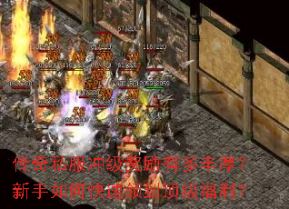 ����˽���弶�����ж���������ο����쵽����������