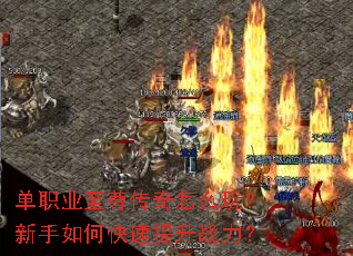 ��ְҵ��������ô�棿������ο�������ս����