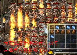 ����˽�����ֱؿ������ѡ��ٷ���Ȩ��������