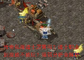 ����˽����ʿ�����𣿵�ʿְҵ�����ܲ����棿ǿ������ȫ����