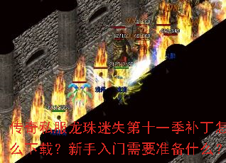 ����˽��������ʧ��ʮһ��������ô���أ�����������Ҫ׼��ʲô��