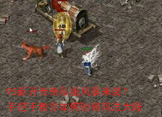 95�¿�����˽���籩��Ϯ���ְ��ֽ�����γ۳��귨��½