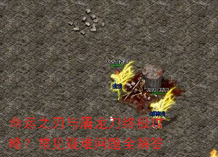 命运之刃与屠龙刀终极攻略?常见疑难问题全解答 命运之刃与屠龙刀终极攻略?常见疑难问题全解答
