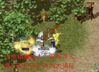 ����˽���汾Ϊ�β��ٻ𱬣������ʧԭ������