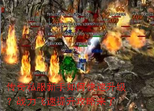 ����˽��������ο���������ս������������������