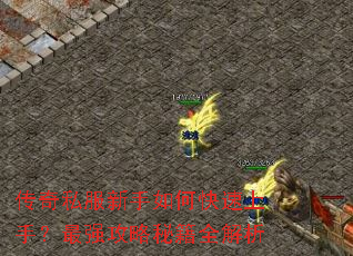 传奇私服新手如何快速上手?最强攻略秘籍全解析 传奇私服新手如何快速上手?最强攻略秘籍全解析