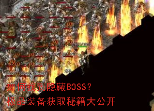 ����ҵ�����BOSS����Ʒװ����ȡ�ؼ��󹫿�