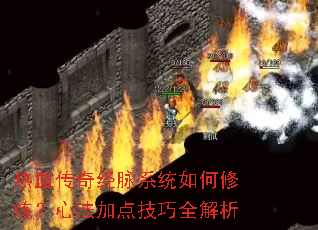 ��Ѫ���澭��ϵͳ����������ķ��ӵ㼼��ȫ����