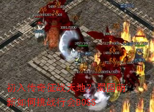���봫����ս��أ�������������ս�л�BOSS