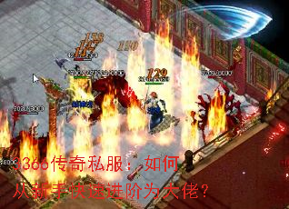 3366����˽������δ����ֿ��ٽ���Ϊ���У�