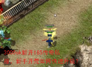 3000ok新开185传奇私服,新手开荒如何快速升级? 3000ok新开185传奇私服,新手开荒如何快速升级?