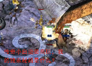 ����С����Ϯ���棬�ҵĶ����ؼ���ʲô��