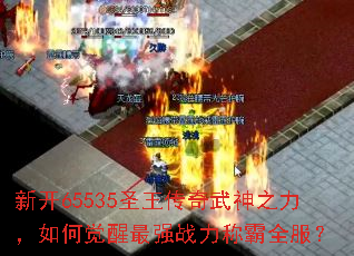 �¿�65535ʥ����������֮������ξ�����ǿս���ư�ȫ����