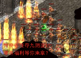 ����ɱ�ֶ������ɴ����Щ�����������ã�
