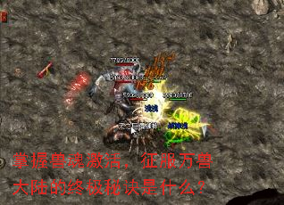 掌握兽魂激活,征服万兽大陆的终极秘诀是什么? 掌握兽魂激活,征服万兽大陆的终极秘诀是什么?
