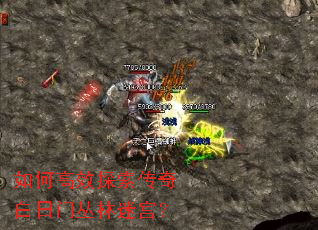 如何高效探索传奇白日门丛林迷宫? 如何高效探索传奇白日门丛林迷宫?